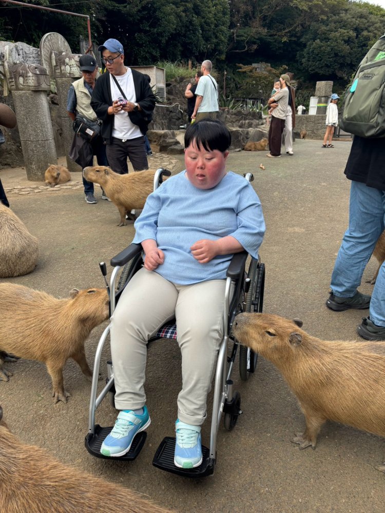 20261027100858.10.22-23 伊豆旅行_261025_289.jpg 20261027100858.10.22-23 伊豆旅行_261025_289.jpg